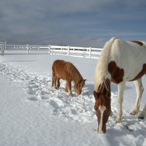 Meet your Posher, Lori